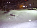 5cm Schnee bei Nacht